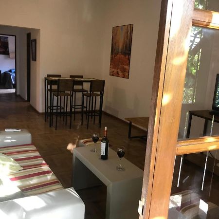 Mza Wine Apartment -Next To Aristides Street- First Class Mendoza Kültér fotó