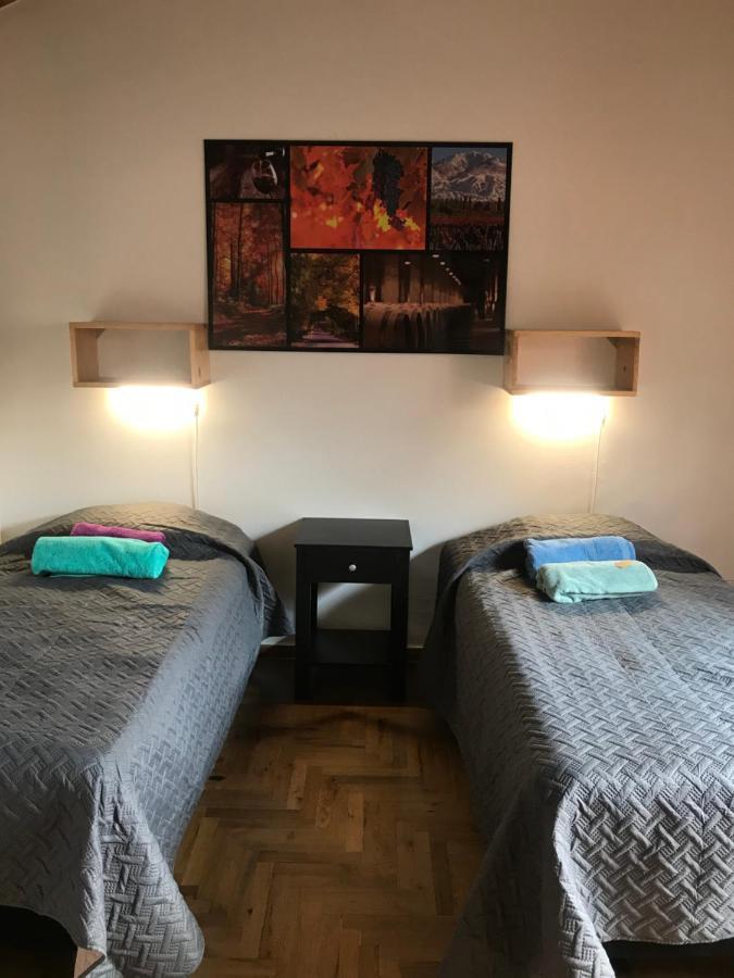 Mza Wine Apartment -Next To Aristides Street- First Class Mendoza Kültér fotó
